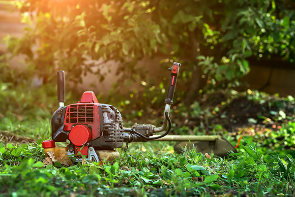 Débroussaillage et démaquisage d'un jardin avec Fantoni Espace Vert